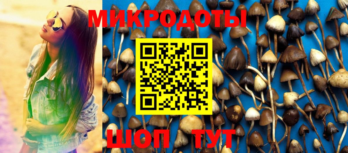Магадан  Галлюциногенные грибы MAGIC MUSHROOMS  Псилоцибиновые грибы прущие грибы  Вход с VPN 